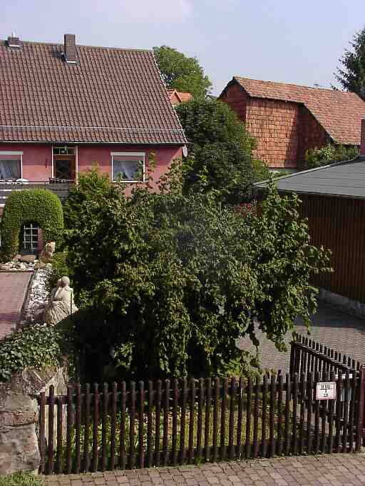 Garten mit Holzzaun