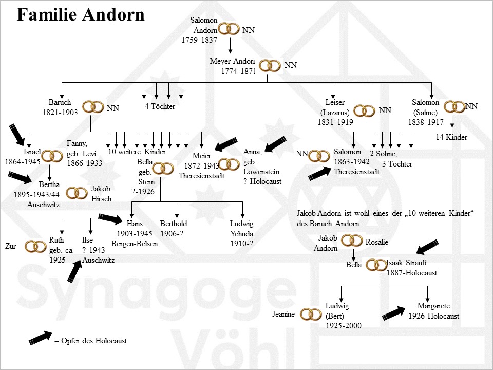 Andorn_Salomon1.jpg