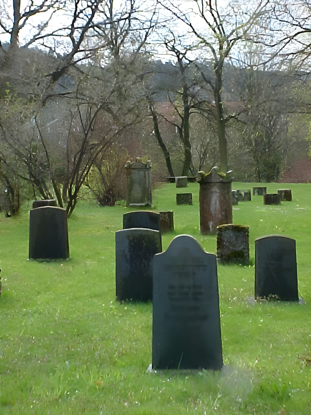 Jüdischer Friedhof in Vöhl Grabsteine auf einer grünen Wiese