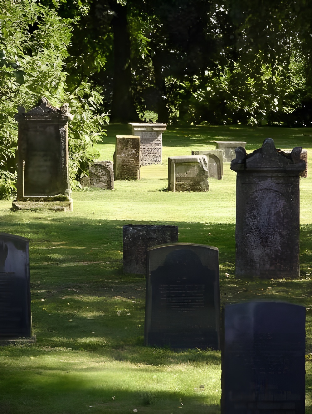Jüdischer Friedhof in Vöhl Grabsteine auf einer grünen Wiese